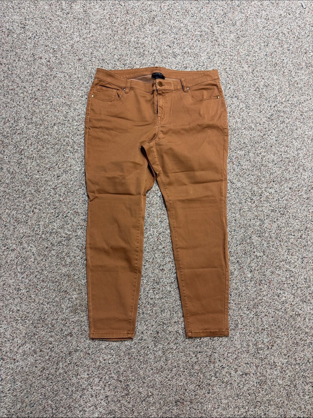 Lane Bryant Straight Leg Pants in Camel Brown